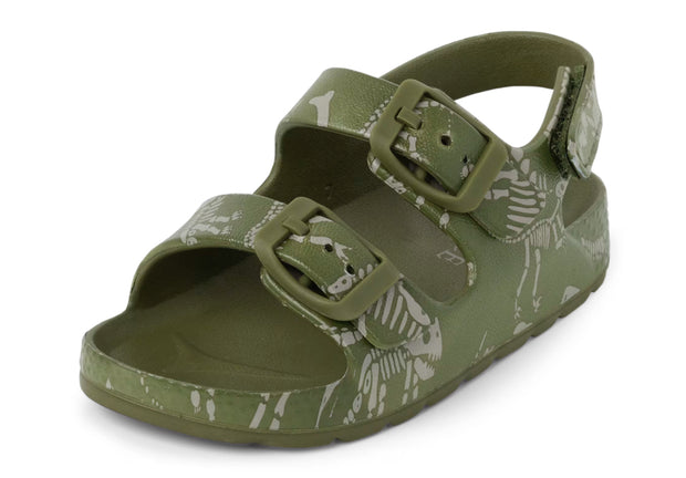 Dino Buckle Slides
